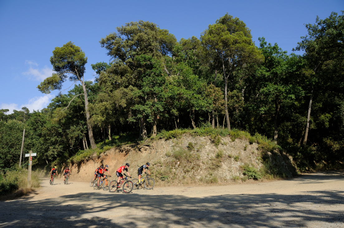 El Parc de Collserola bat el rècord de visitants amb 6’4 milions durant 2021